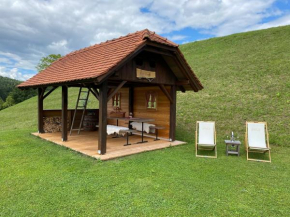 Wooden hut at tourist farm Artisek Štore